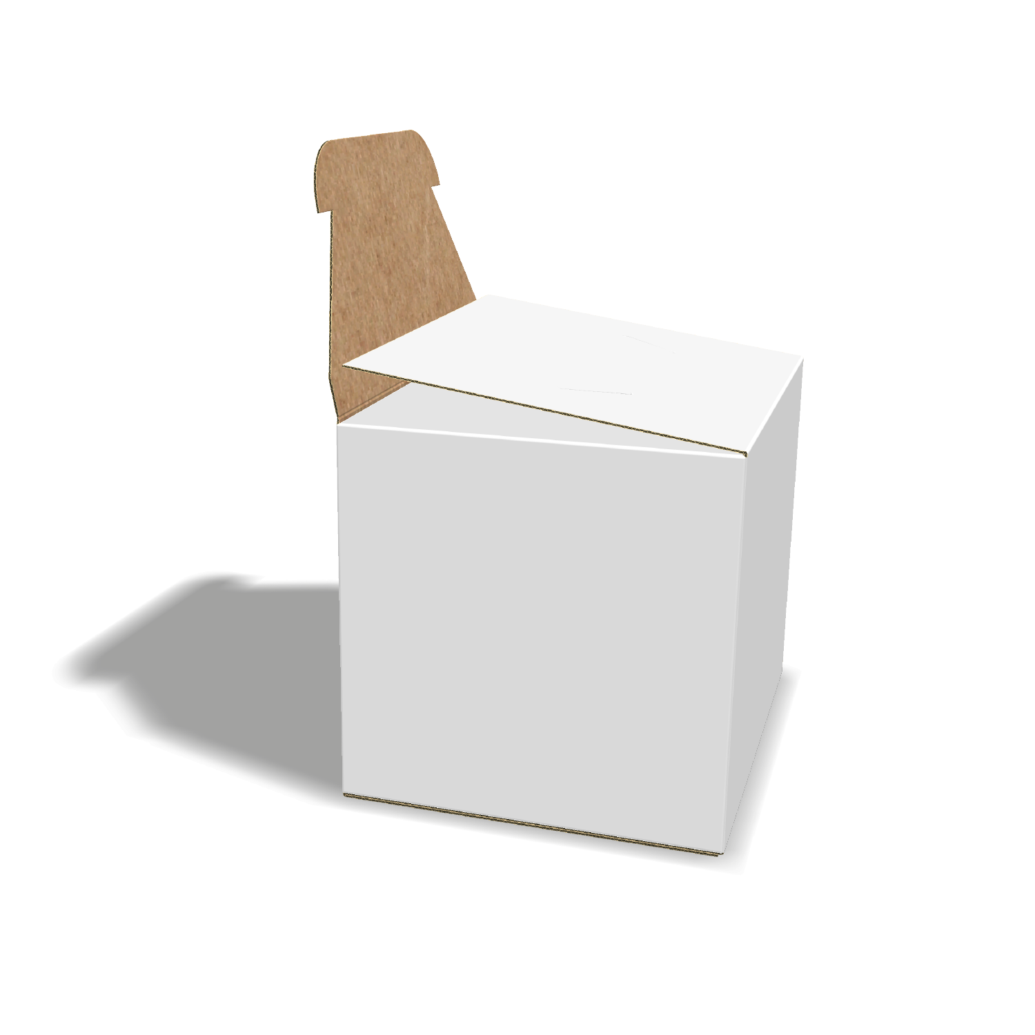 Two-dimensional FEFCO 0218 vector dieline diagram alongside a 3D folded mockup of the custom cardboard box design.