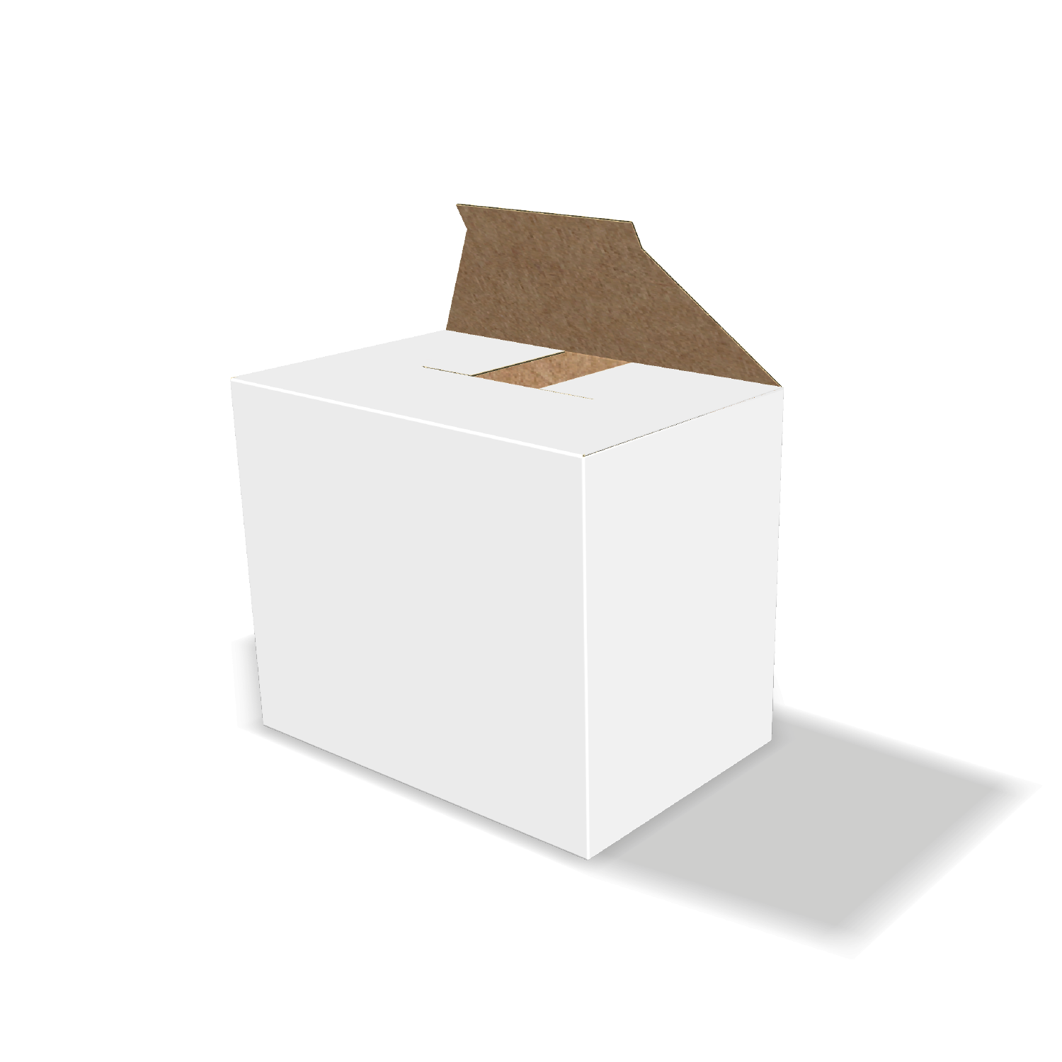 Two-dimensional FEFCO 0220 vector dieline diagram alongside a 3D folded mockup of the custom cardboard box design.