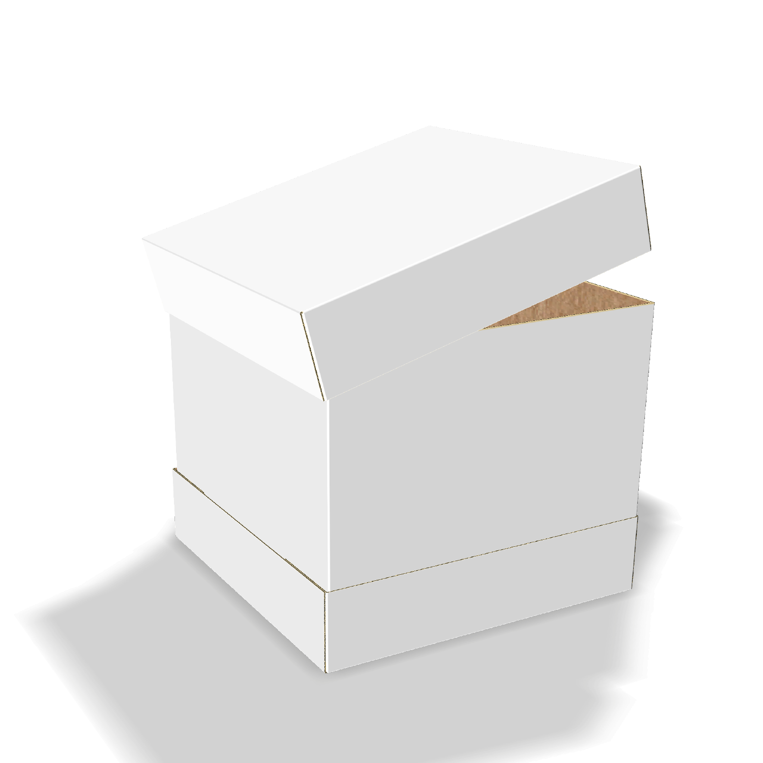 Two-dimensional FEFCO 0310 vector dieline diagram alongside a 3D folded mockup of the custom cardboard box design.