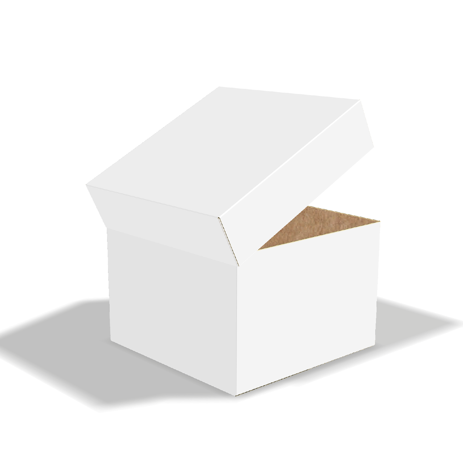 Two-dimensional FEFCO 0312 vector dieline diagram alongside a 3D folded mockup of the custom cardboard box design.