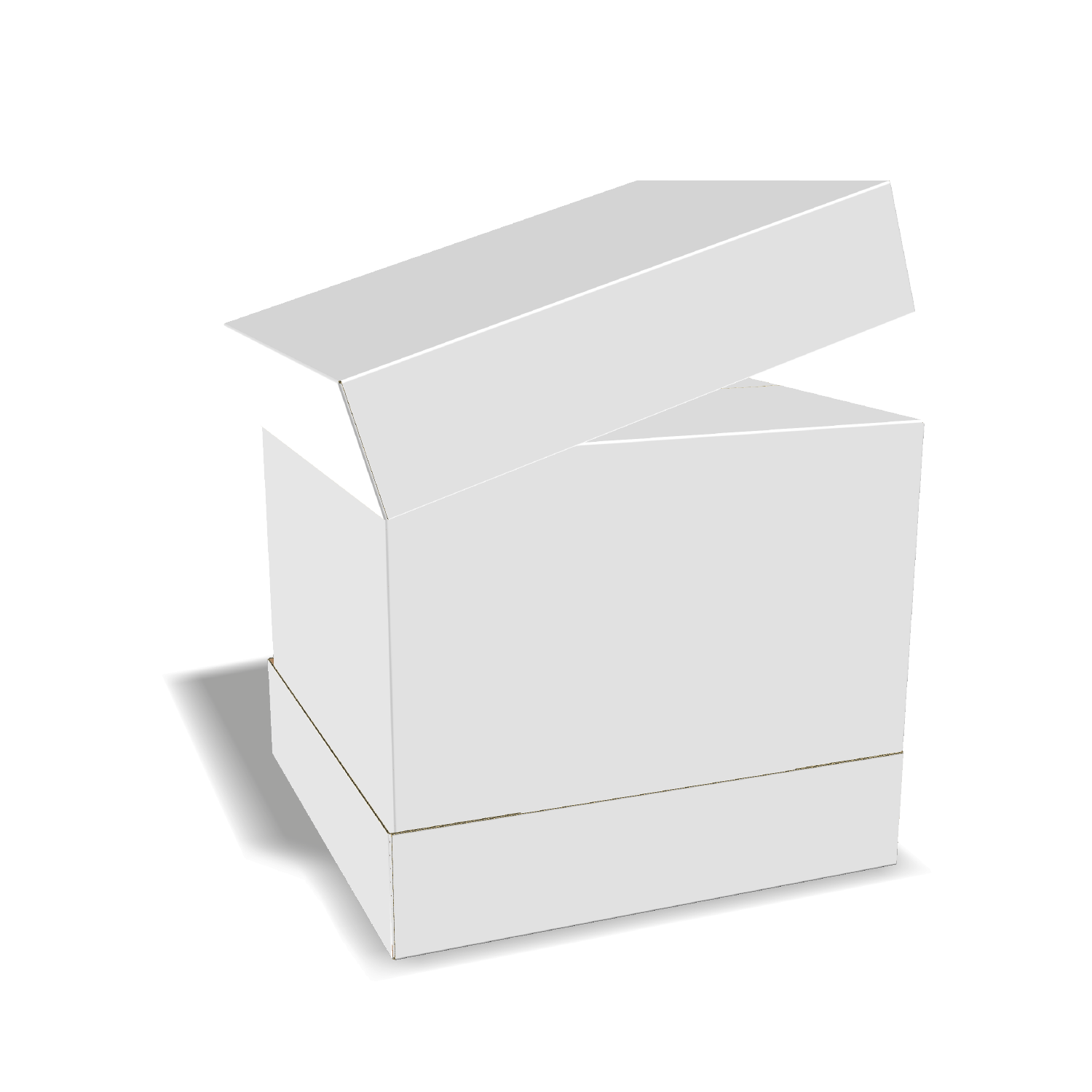 Two-dimensional FEFCO 0313 vector dieline diagram alongside a 3D folded mockup of the custom cardboard box design.