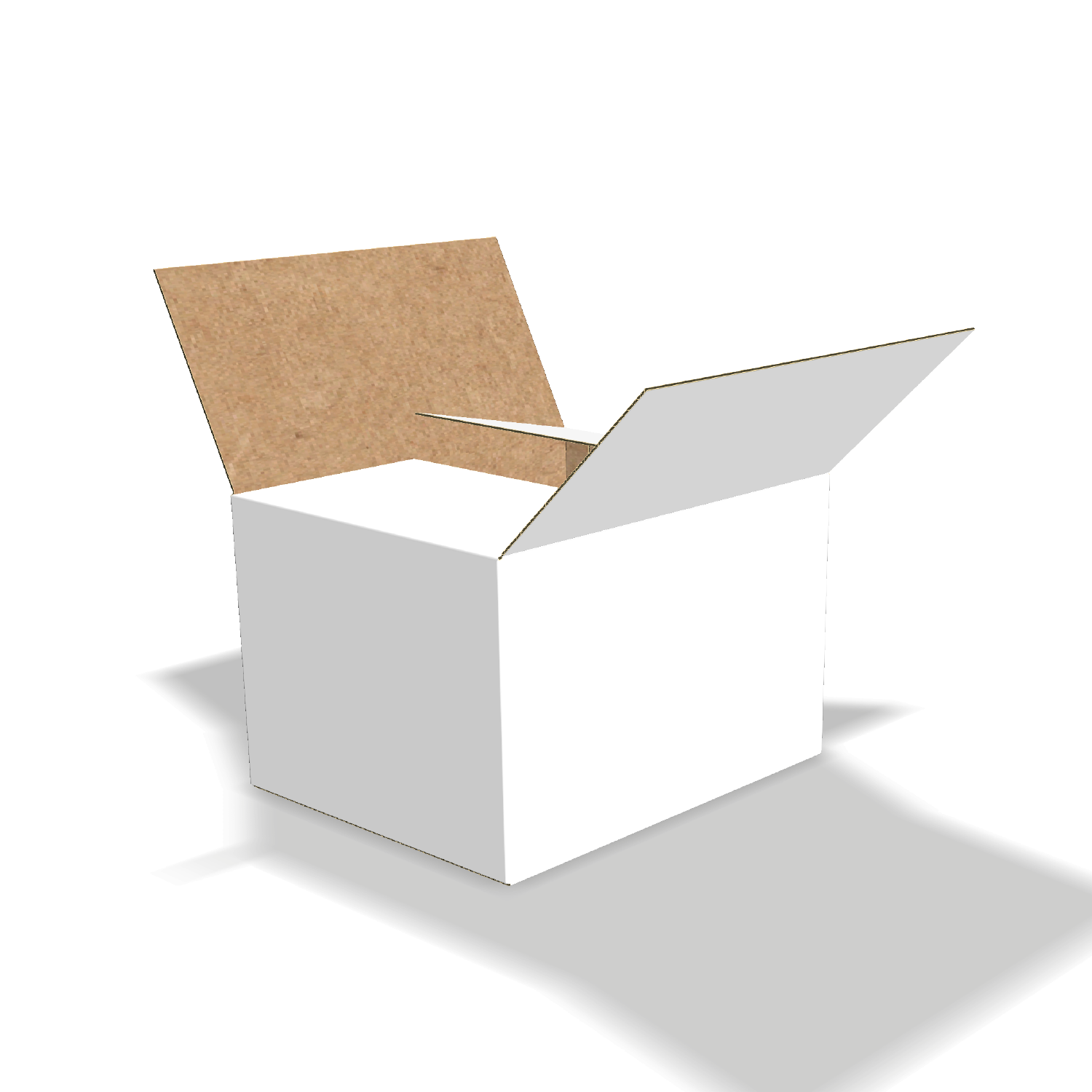 Two-dimensional FEFCO 0205 vector dieline diagram alongside a 3D folded mockup of the custom cardboard box design.