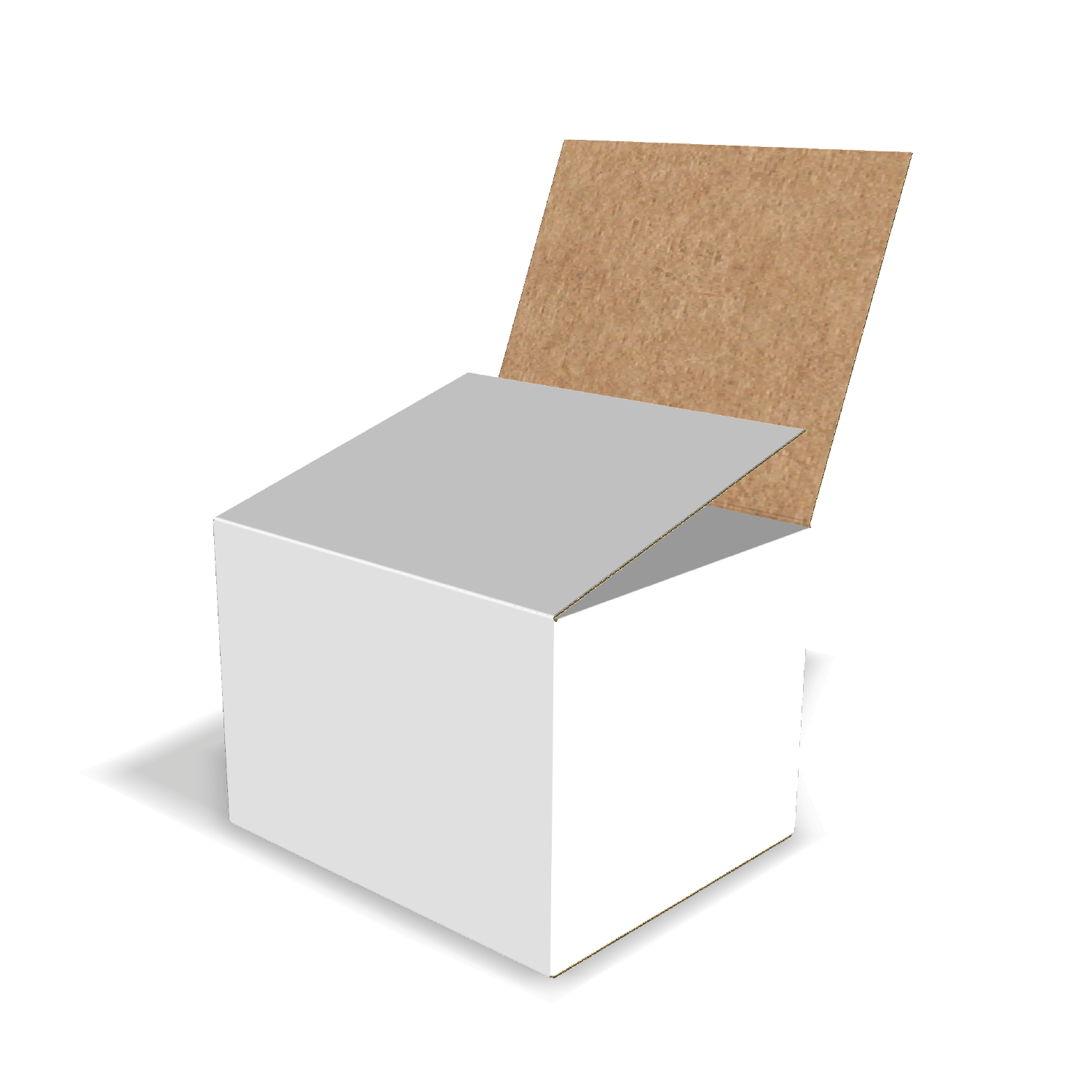 Two-dimensional FEFCO 0206 vector dieline diagram alongside a 3D folded mockup of the custom cardboard box design.