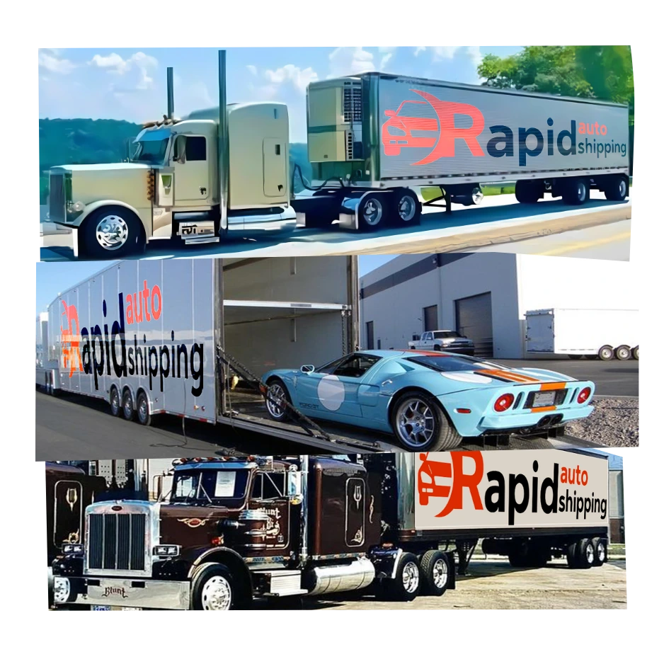 Shipping Service - Professional Transport