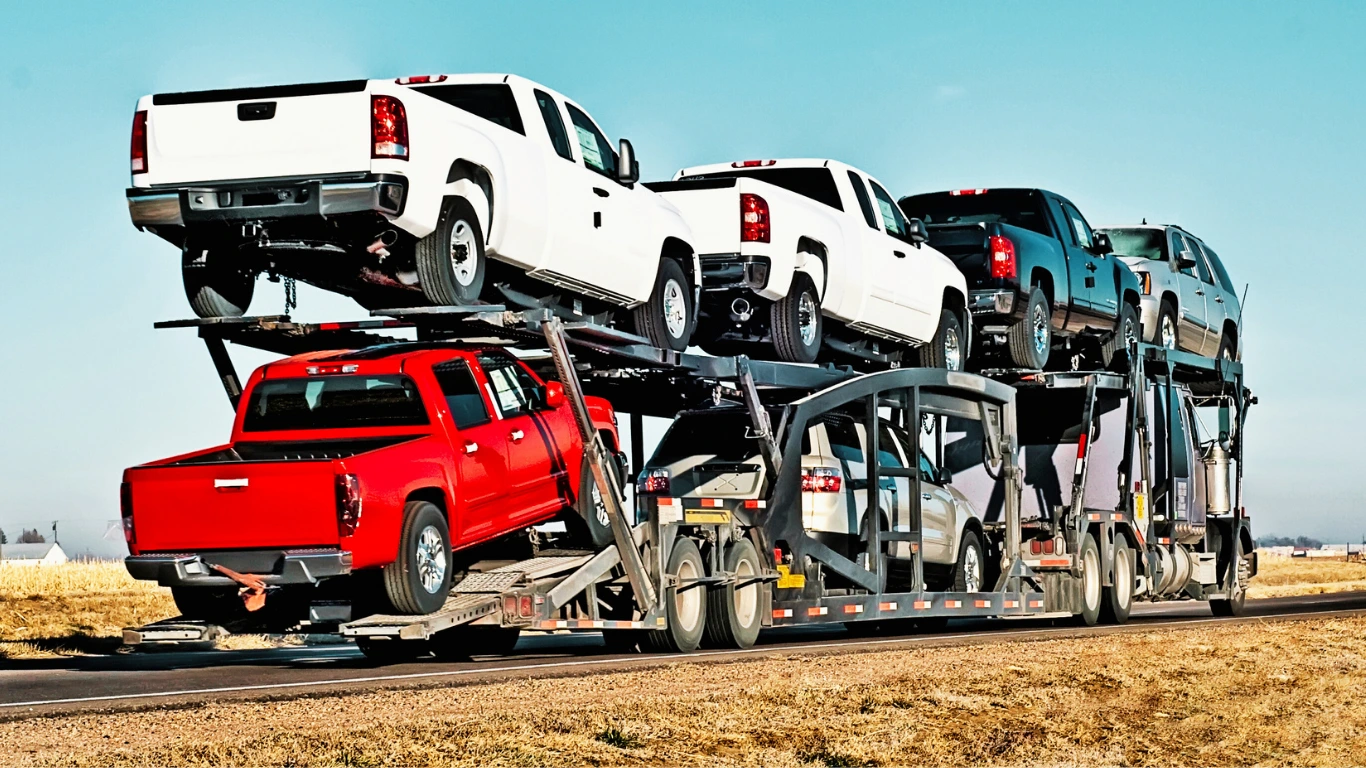 Shipping Service - Professional Transport