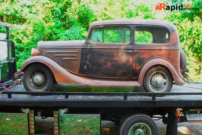 Shipping Service - Professional Transport