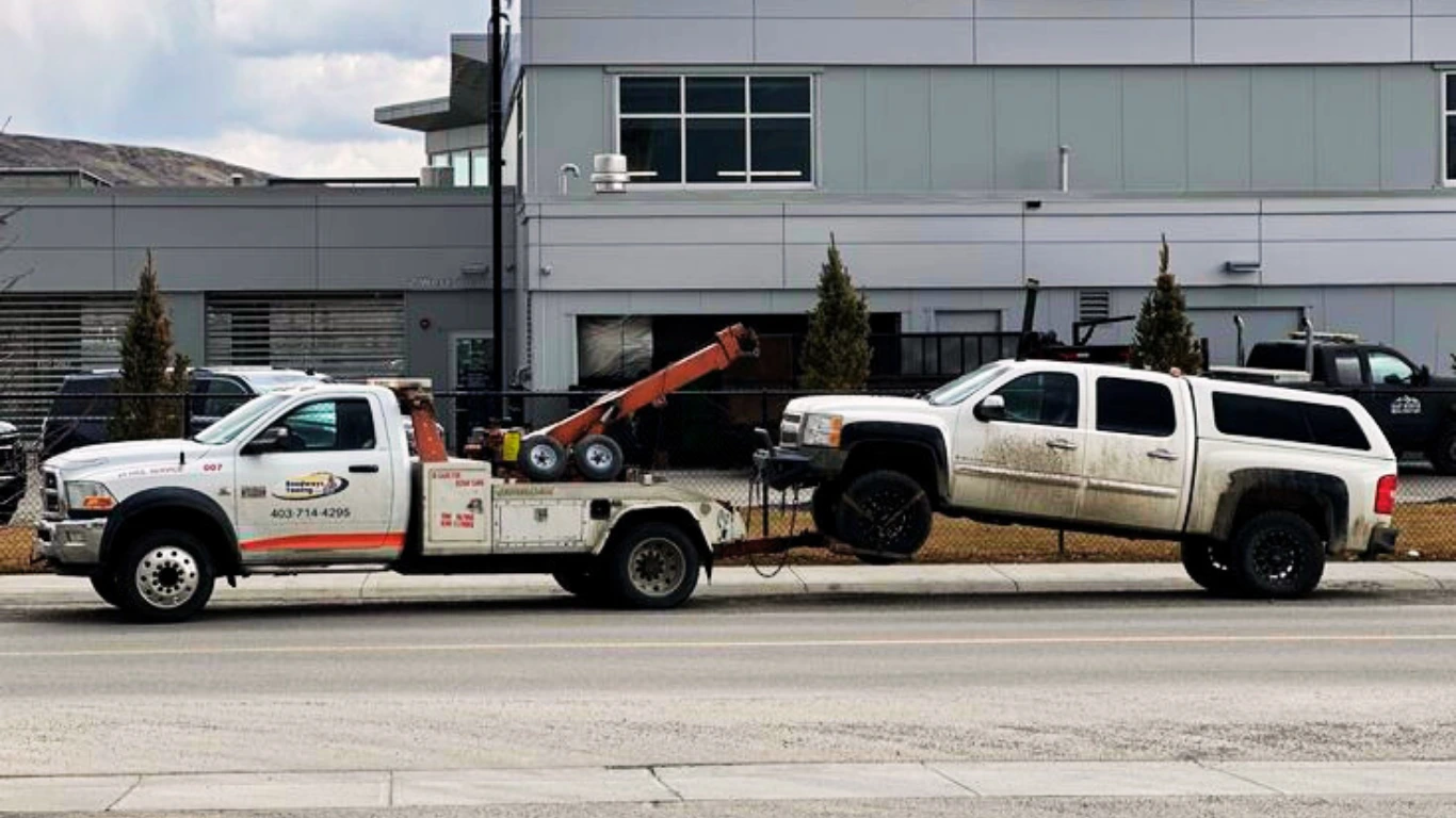 Shipping Service - Professional Transport