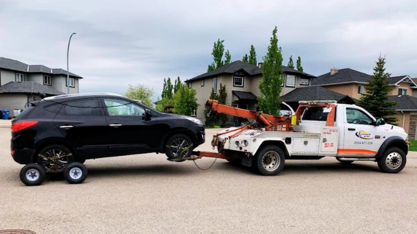 Shipping Service - Professional Transport