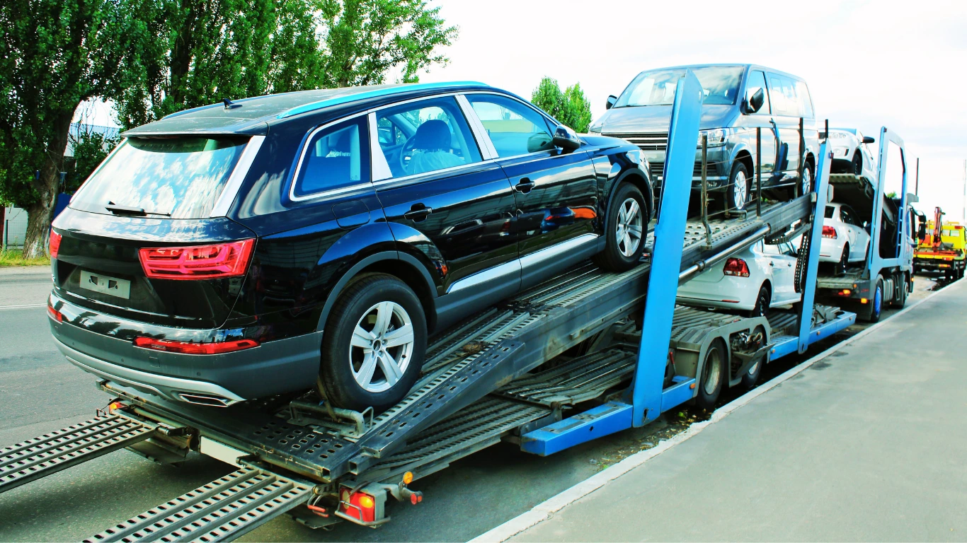 Shipping Service - Professional Transport