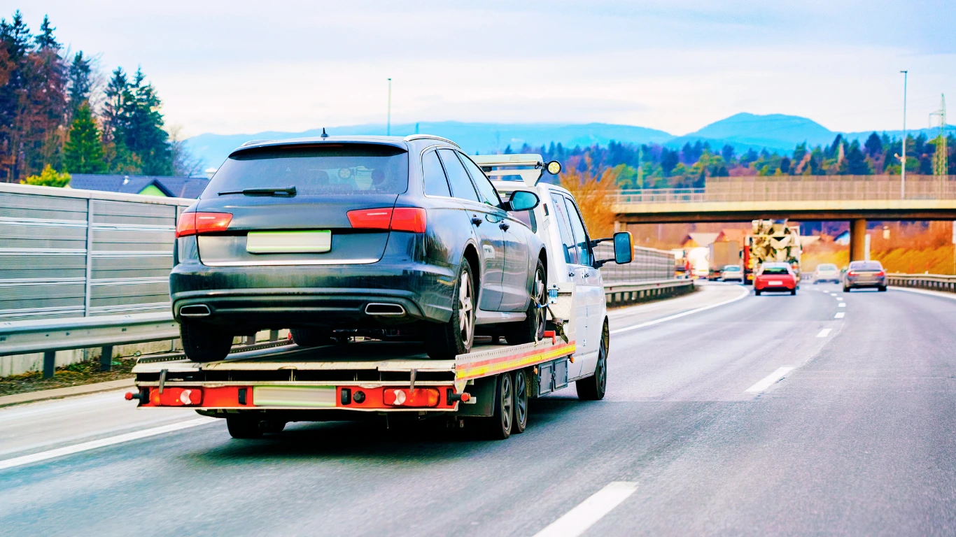 Shipping Service - Professional Transport