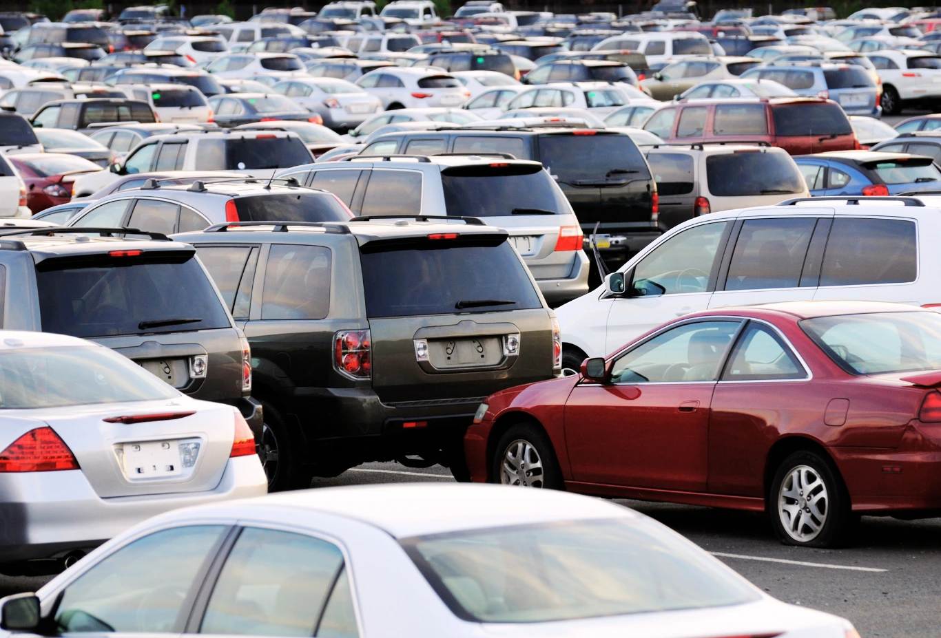 Shipping Service - Professional Transport