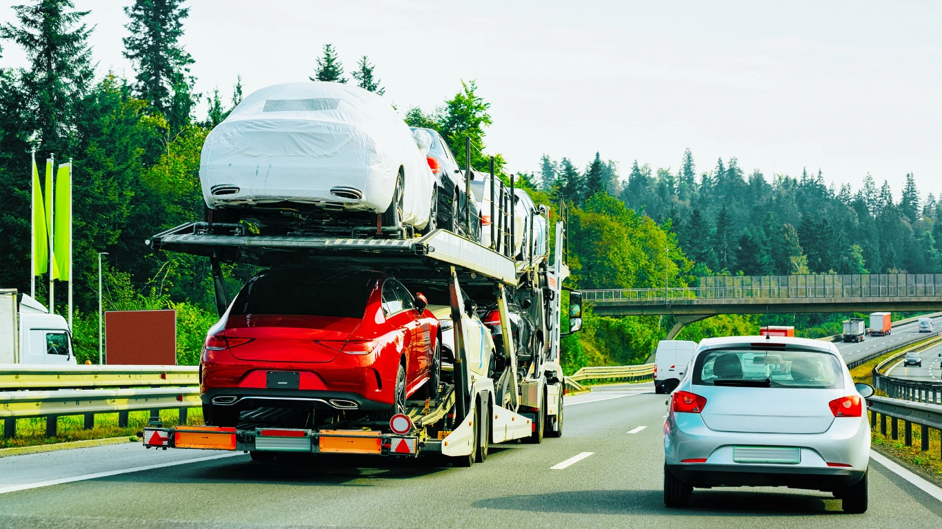 Shipping Service - Professional Transport