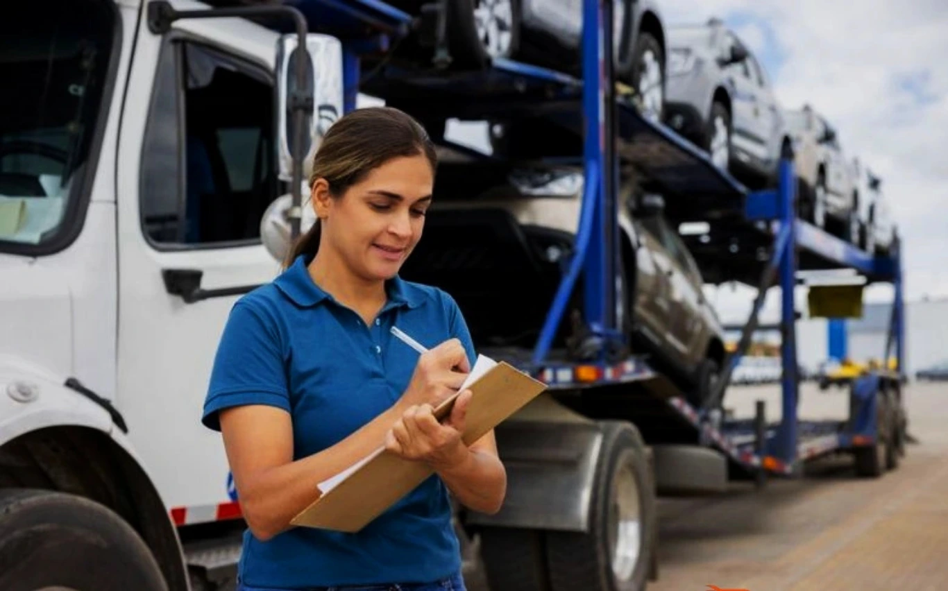 Shipping Service - Professional Transport