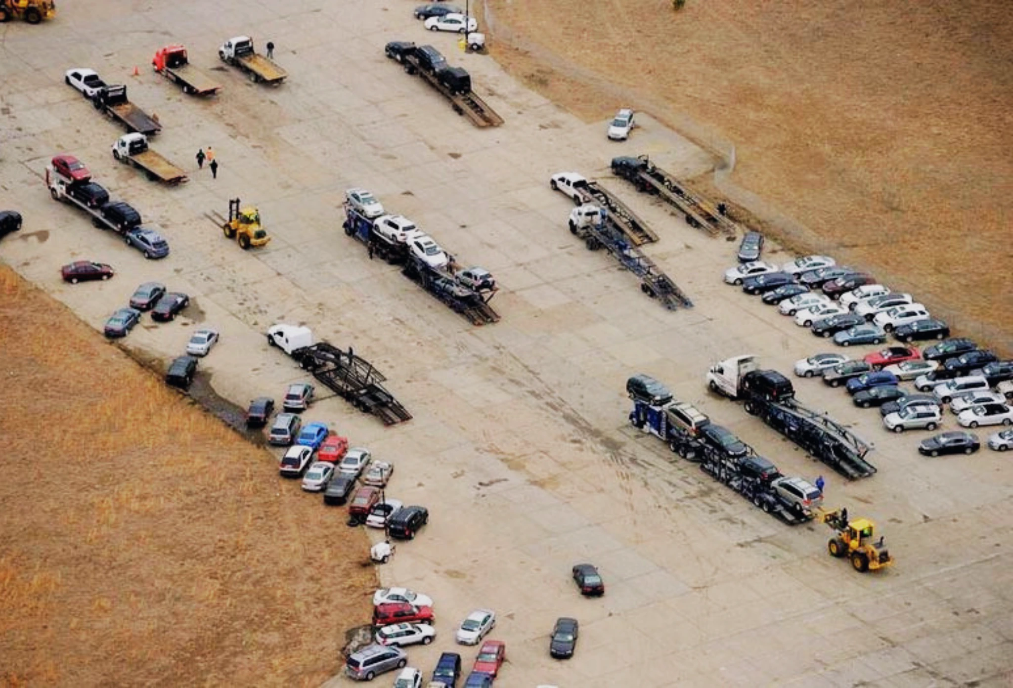 Shipping Service - Professional Transport Solutions