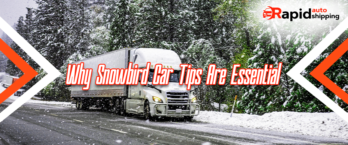 Insurance & Registration Considerations for Snowbirds