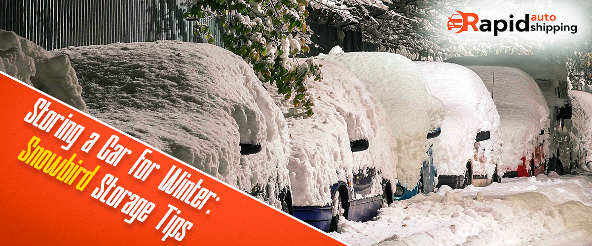 Snowbird Car Tips: How to Prepare, Ship, or Store Your Car for Winter in the South