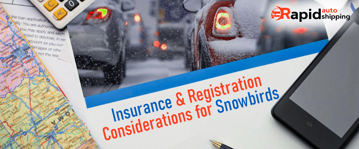 Insurance & Registration Considerations for Snowbirds