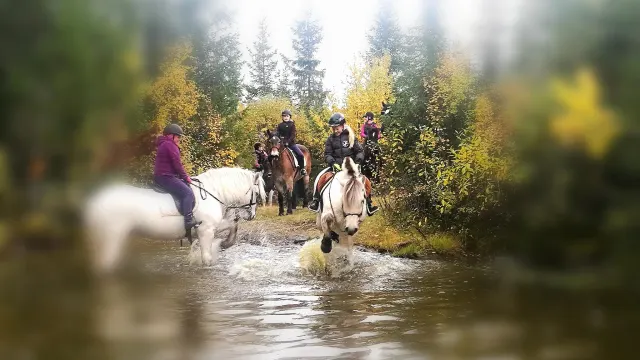 Gjeldokk hestesenter 