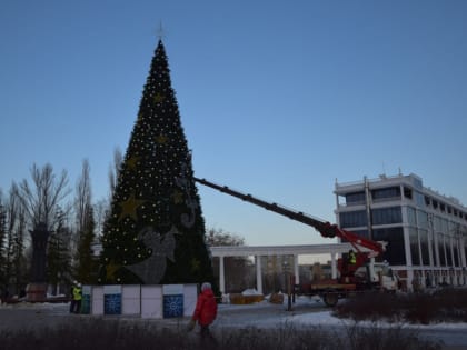 У этнокомплекса «Амазония» в Чебоксарах установили 18-метровую ёлку