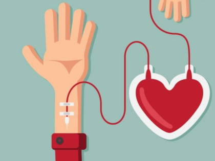 Более 600 доноров сдали кровь за первый час работы центров крови Подмосковья