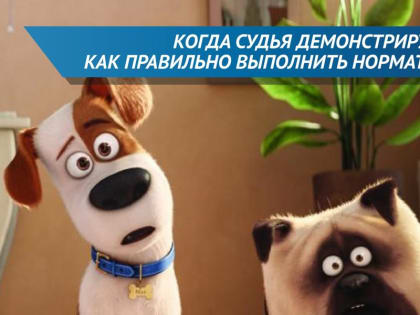 Сегодня отмечается Всемирный День домашних животных