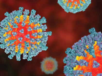 Профилактика кори