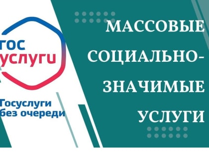 Муниципальные социально-значимые услуги в электронном виде. Присвоение спортивных разрядов