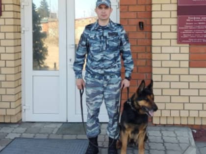 В Чувашии служебный пёс Агат помог раскрыть кражу