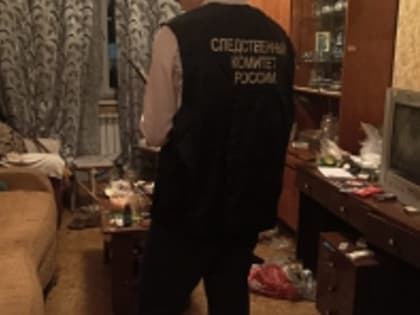 Жительница Чебоксар, жестоко убившая сожителя, отправится в колонию на 7 лет