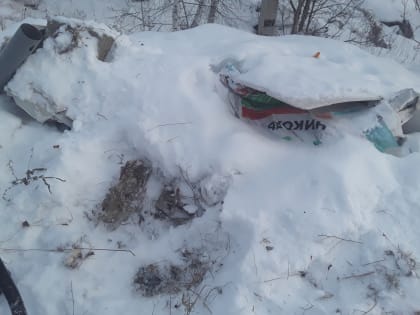 В Тереньгульском районе Ульяновской области Россельхознадзор выявил свалку бытовых и строительных отходов