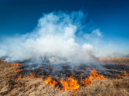 Предупреждения об опасных и неблагоприятных метеорологических явлениях