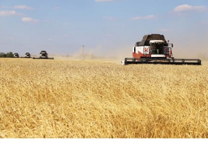 Праздничные мероприятия для агропромышленников