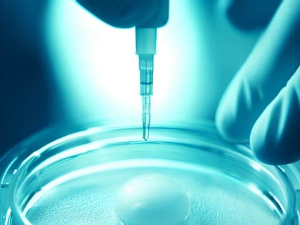 ЭКО помогает осуществить мечту о родительстве