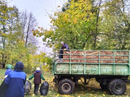 Чебоксары готовятся к зиме: продолжаются экологические мероприятия