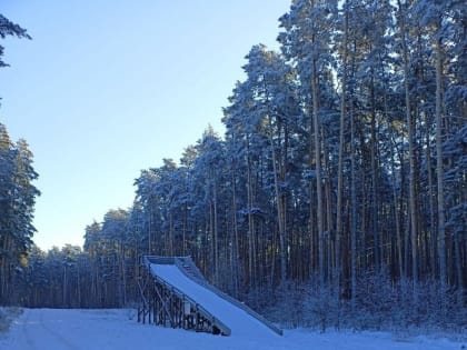 Как скрасить свой досуг в зимнее время года?