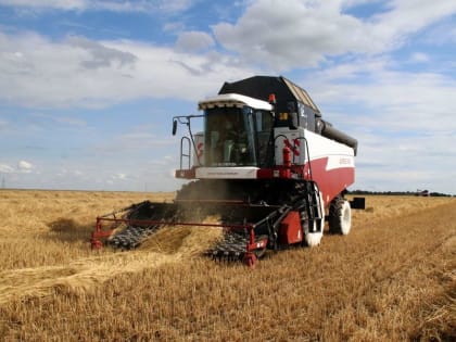 В Моргаушском муниципальном округе стартовала уборочная страда: «первыми на поле вышли труженики СХПК им. Суворова»