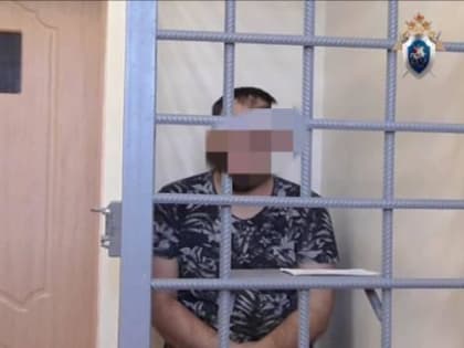 В Чувашии будут судить членов ОПГ, которые брали кредиты по поддельным документам