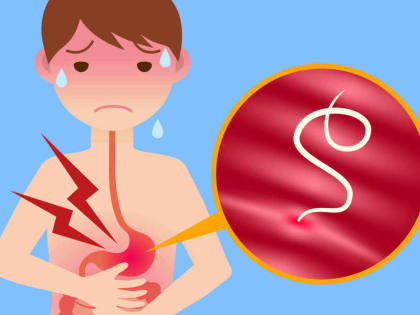 ЭНТЕРОБИОЗ И МЕРЫ ПРОФИЛАКТИКИ