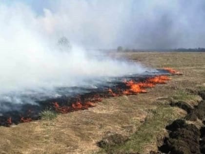В Порецком районе огонь выжег 5 гектаров сухой травы