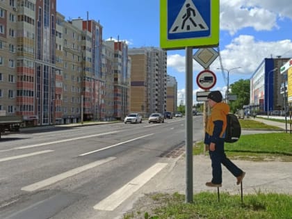 На двух пешеходных переходах в Чебоксарах появились муляжи детей