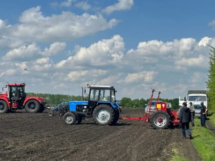 ООО «Победа» заложило демонстрационное поле сои