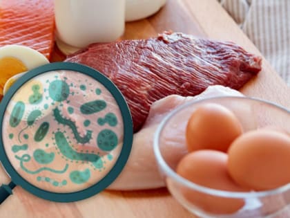 Сальмонеллез: опасности и меры профилактики
