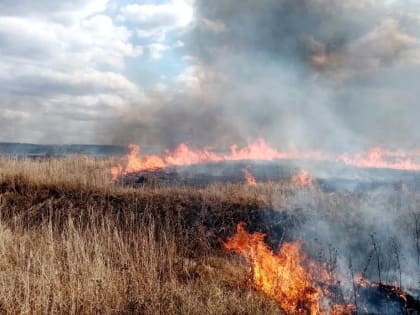 С апреля в Чувашии возбуждены 86 административных дел за нарушение требований пожарной безопасности в условиях особого противопожарного режима