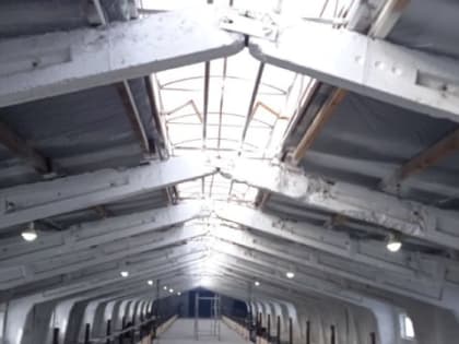 Грант «Агростартап» помогает начинающим фермерам