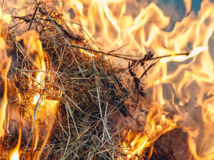 Лесоводы Минприроды Чувашии предотвратили лесной пожар