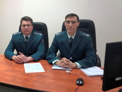 Управление провело вебинар для налогоплательщиков