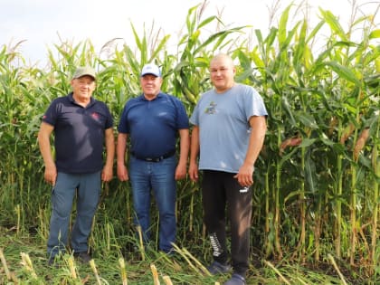 Посещение главы Яльчикского района: успехи сельхозорганизации «Победа»