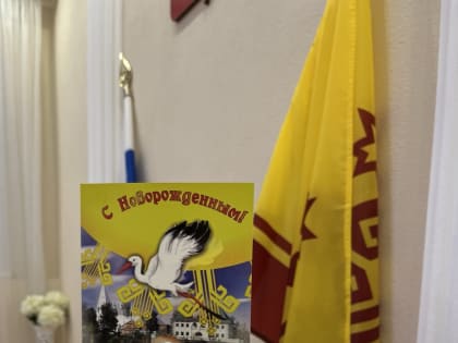 Благодаря суперсервису «Рождение ребенка» в Калининском районе г. Чебоксары зарегистрирован 200-й новорожденный 2025 года