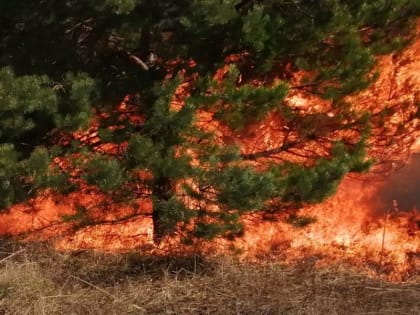 Напоминаем, что в Чувашии сохраняется IV класс пожароопасности!