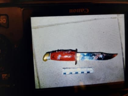 Чебоксарец  признан виновным в причинении смерти сожительнице